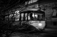 Imagine atasata: Tramvai-6_resize.jpg